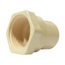 COPLE HEMBRA CPVC 1